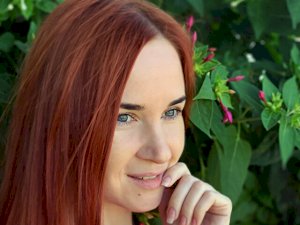 Profil de SweetFox