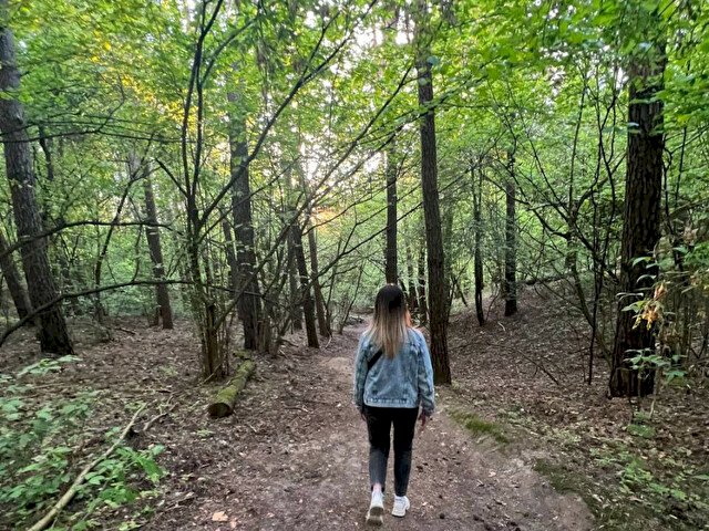 Perfil con Songbird - Imagen  n°105