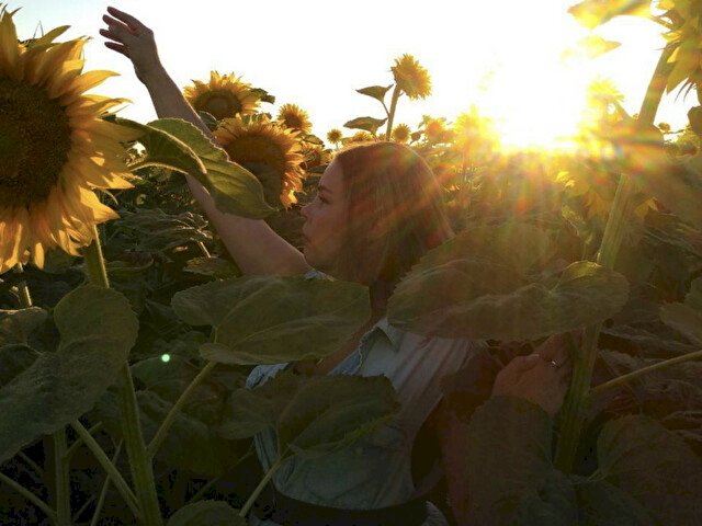 Profil de SunFlower - Photo n°3