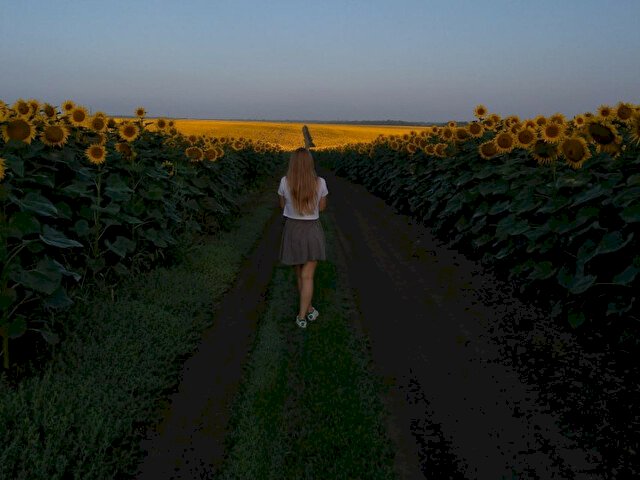 Perfil con SharmEyes - Imagen  n°9