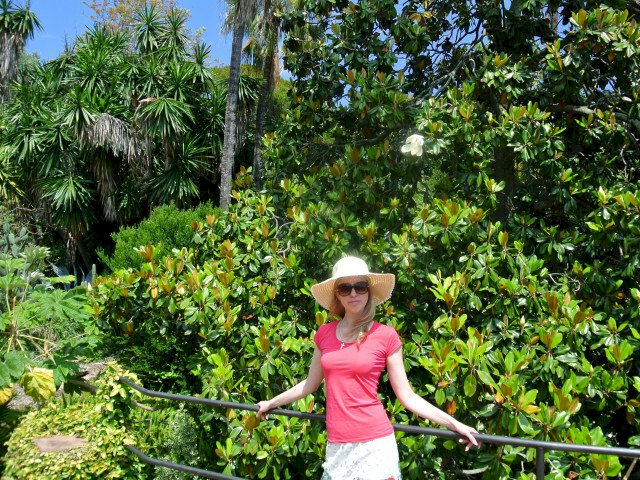 Sunset's profiel - Afbeelding n°16