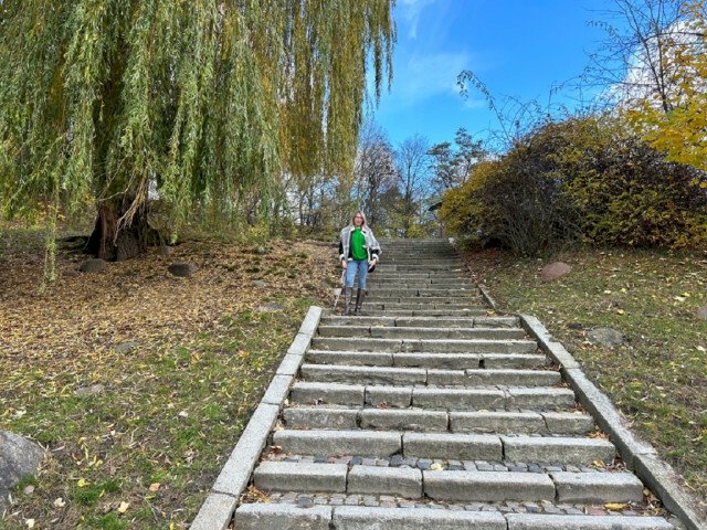 Sophiexx's profiel - Afbeelding n°16