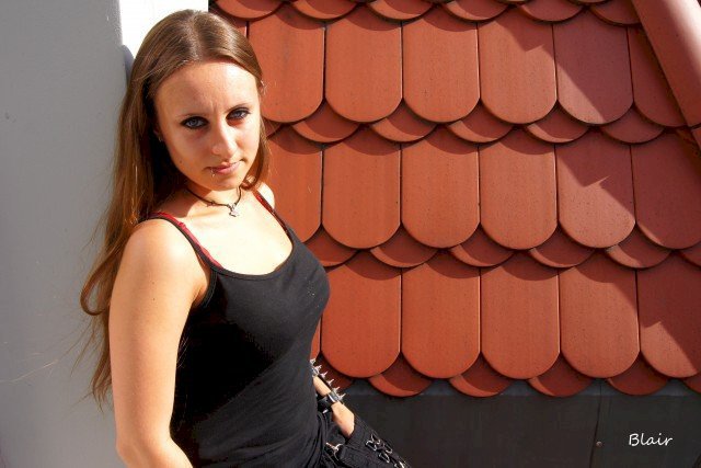 Perfil con Soft-Blair - Imagen  n°5