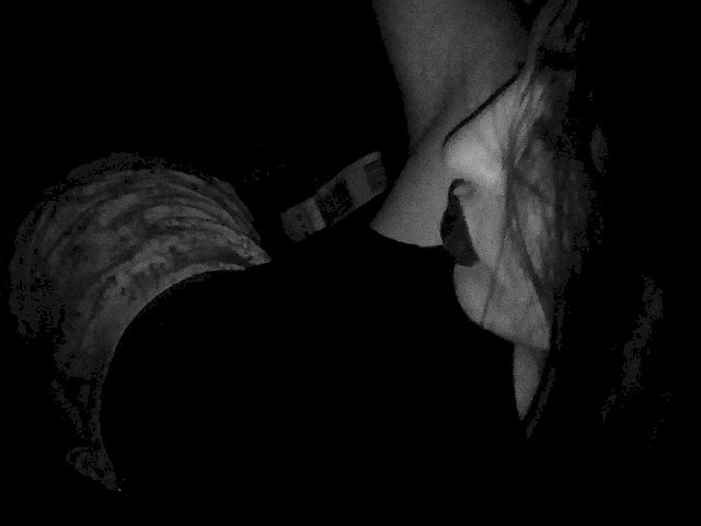 SweetLara101's Profil - Bild n°0