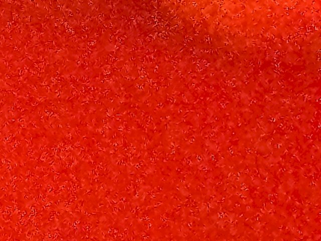 Troglodita's profile - Image n°2