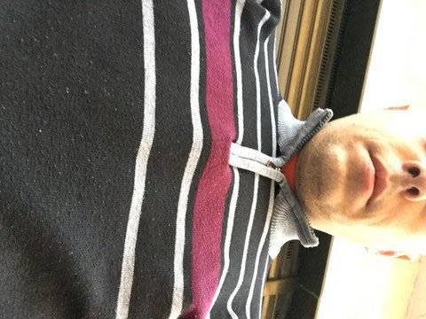 thealecsx's profile - Image n°0