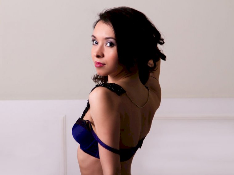 THEfox's profile - Image n°1