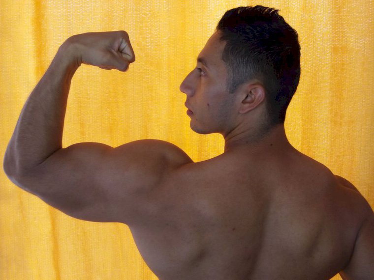 thehore's profile - Image n°1