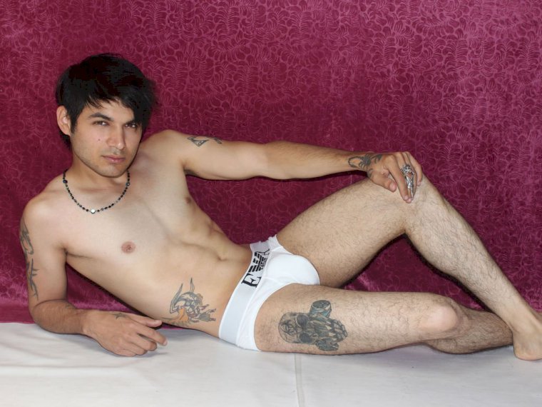 TIMMATSON's profile - Image n°1