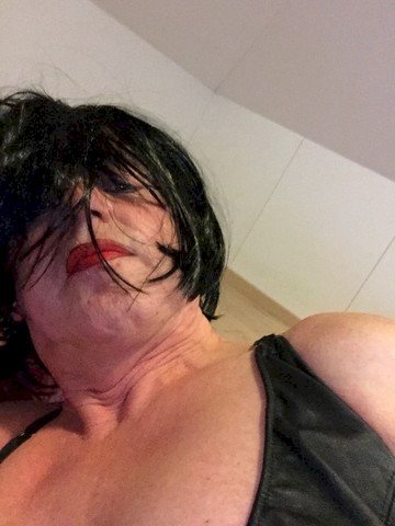 TVMeesteres's profile - Image n°2