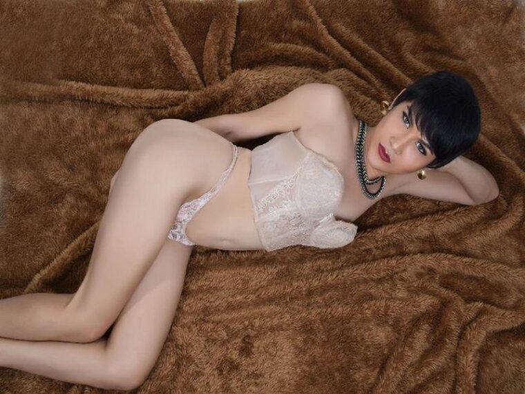 UrDreamCamTrue's profile - Image n°0