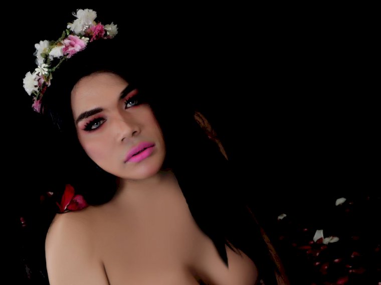urTOPxDOMINANT's profile - Image n°0