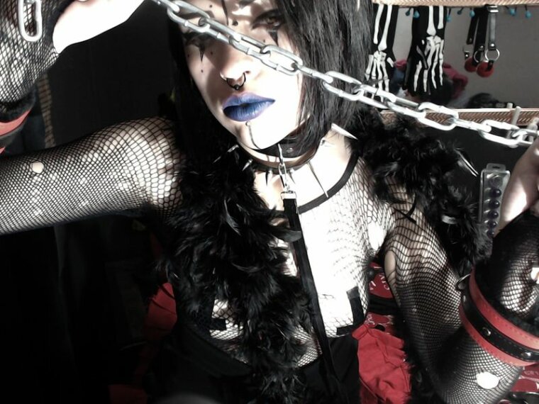 Venusdom's profile - Image n°0