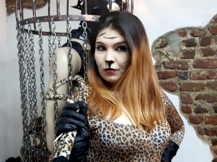VenusDomme's profile - Image n°1