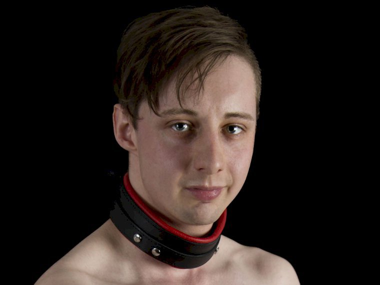Whippedcreamer's profile - Image n°1