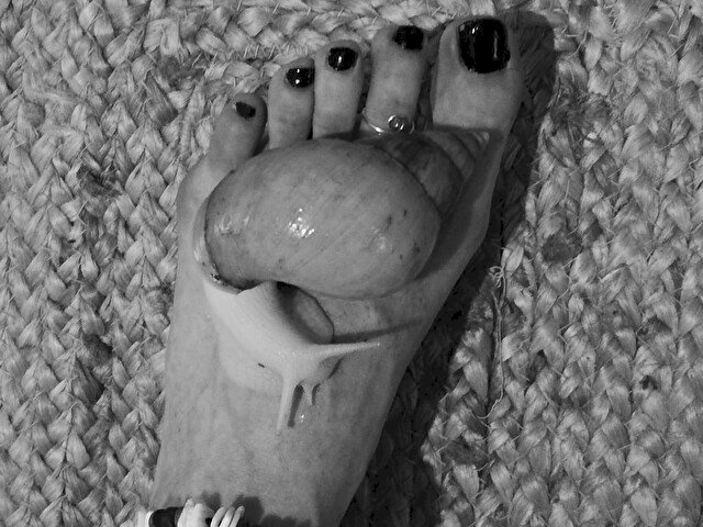 Perfil con Zelie8 - Imagen  n°27