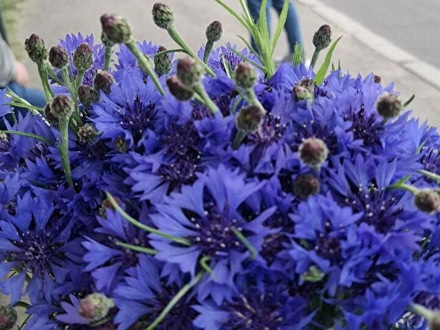 999masha's profiel - Afbeelding n°41