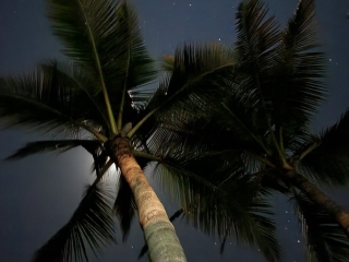 Aaron110011's Sexcam