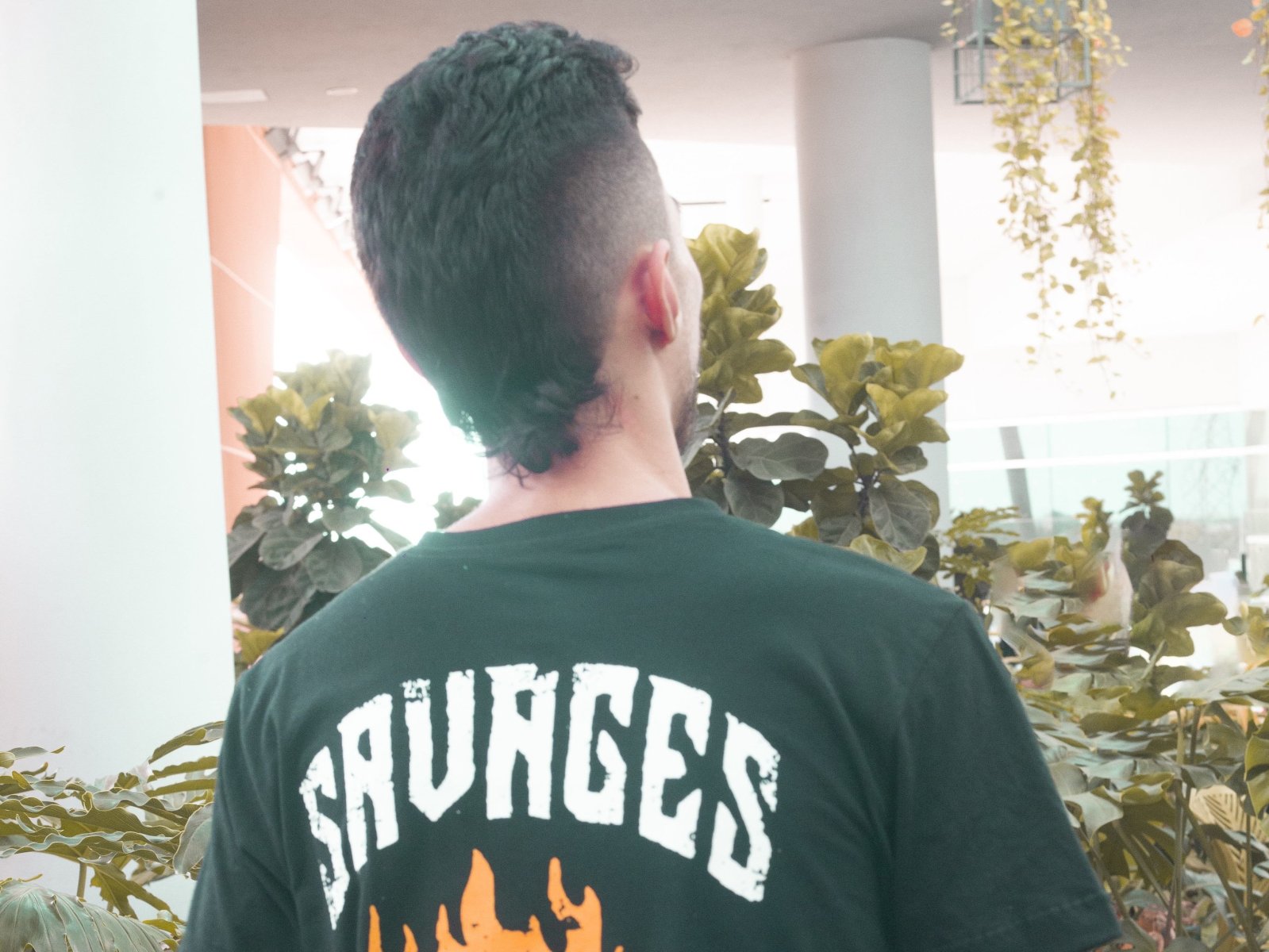 Abelfx's profile - Image n°0