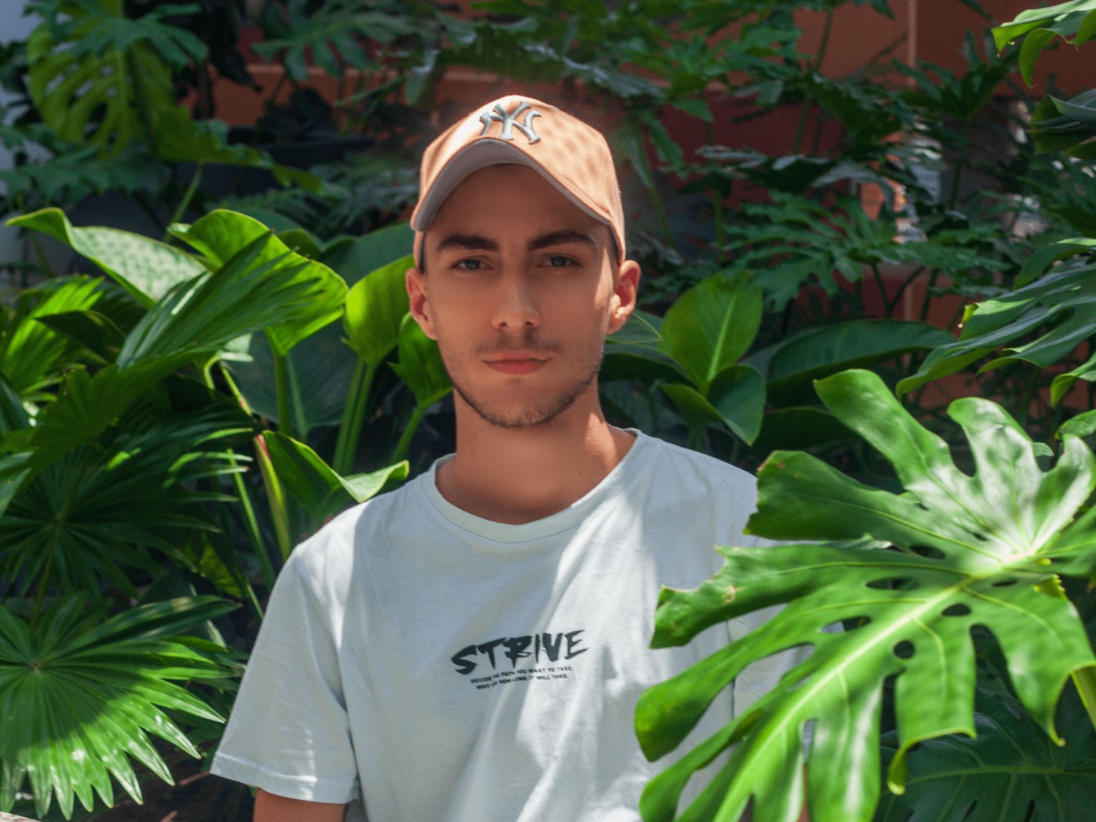 Abelfx's profile - Image n°1