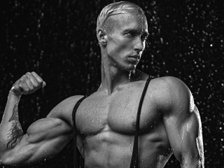 Profil de Adonis