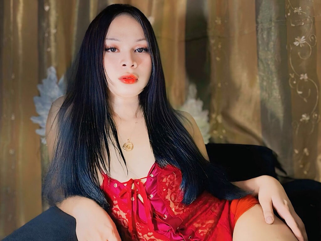 Aicadion's profile - Image n°0