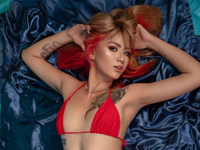 AlaskaJonsom's profiel - Afbeelding n°14