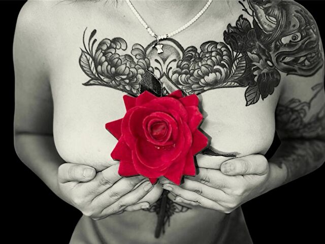 Alesandraco's profile - Image n°3