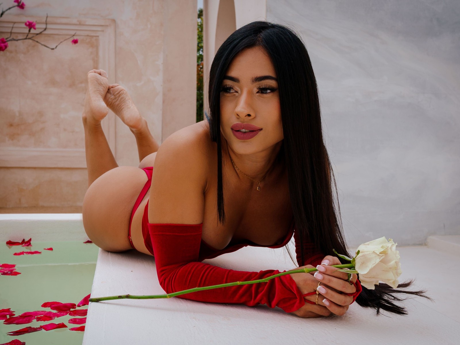 Alesapeers's profile - Image n°2