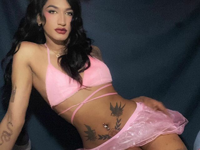 Perfil con Alexadragun - Imagen  n°4