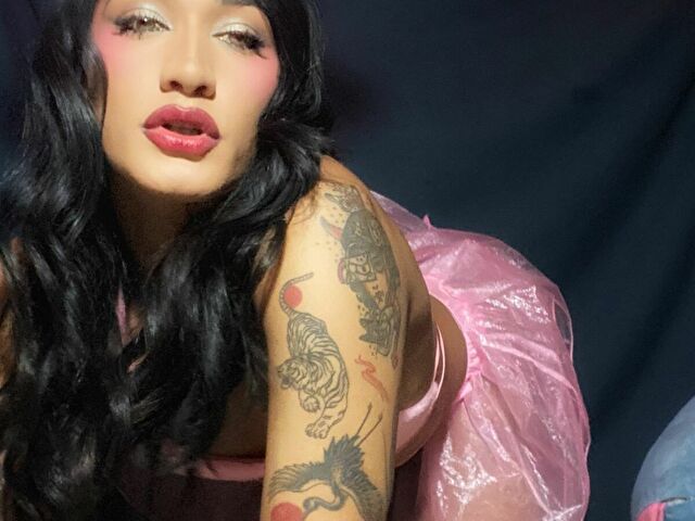 Perfil con Alexadragun - Imagen  n°5