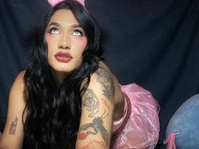 Perfil con Alexadragun - Imagen  n°6