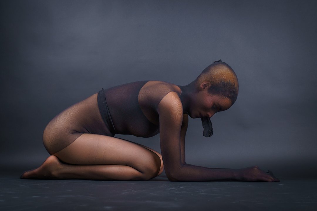 Alexaduque's Profil - Bild n°0