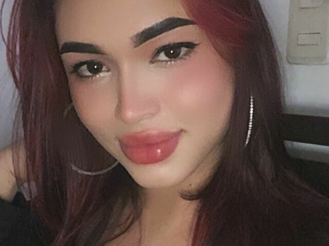 Perfil con Alexafox - Imagen  n°6