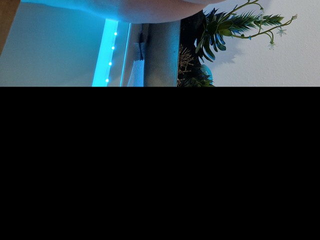 Alishablue's Profil - Bild n°1