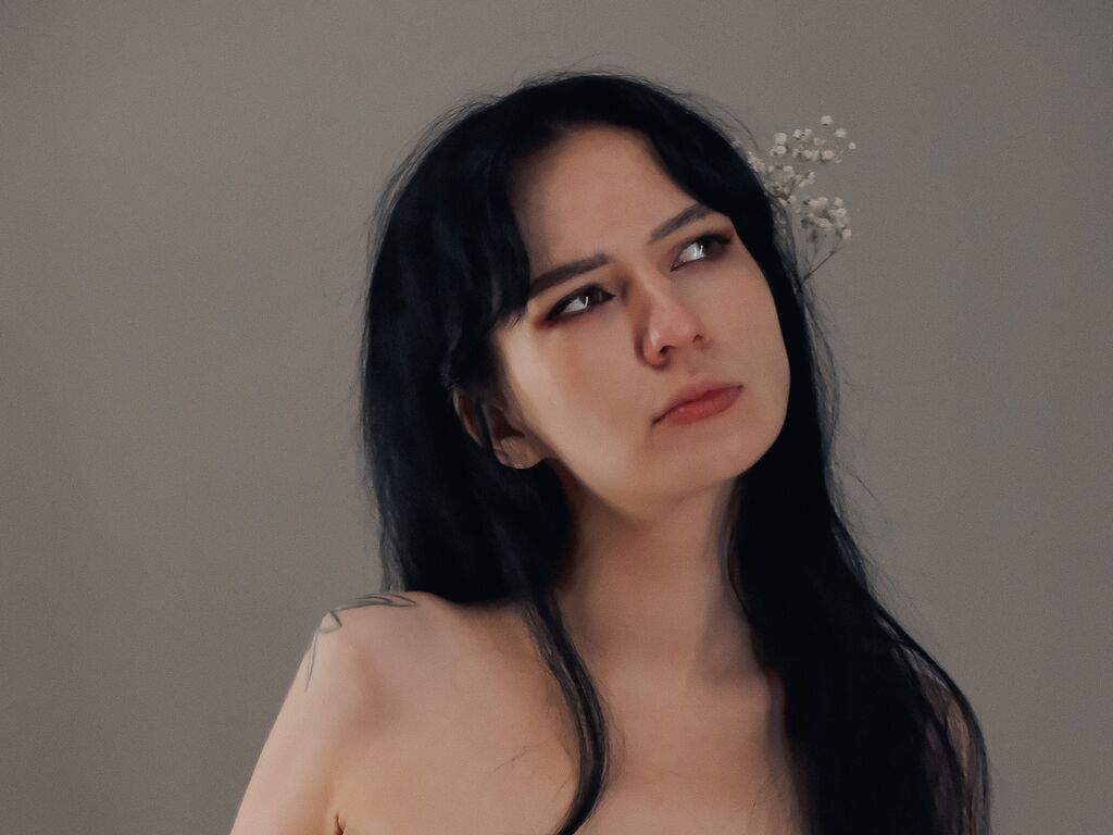 Alisseken's profiel - Afbeelding n°0