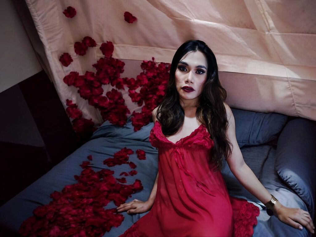 Perfil con Alissonvaldez - Imagen  n°1