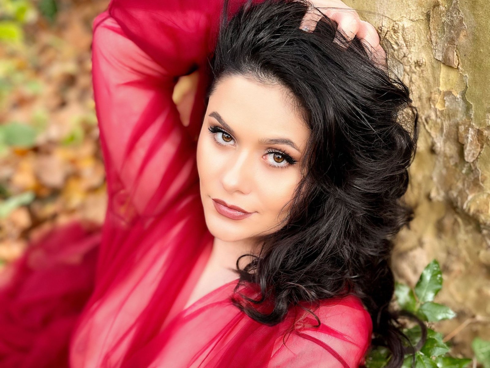 Almanoir's Profil - Bild n°6