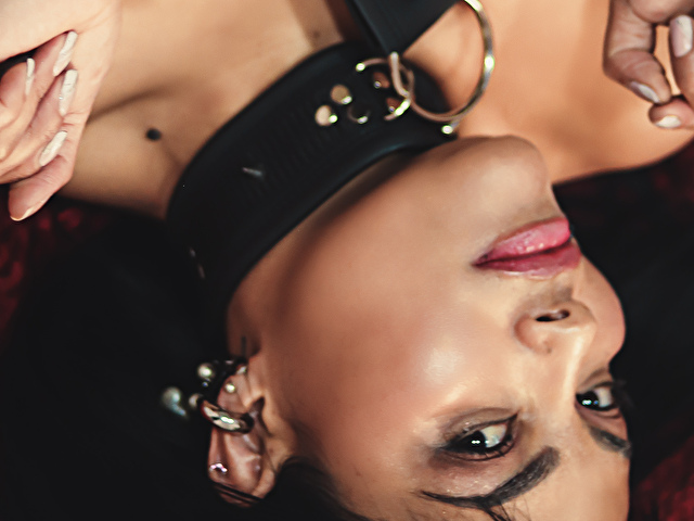 Perfil con Amelienova - Imagen  n°10