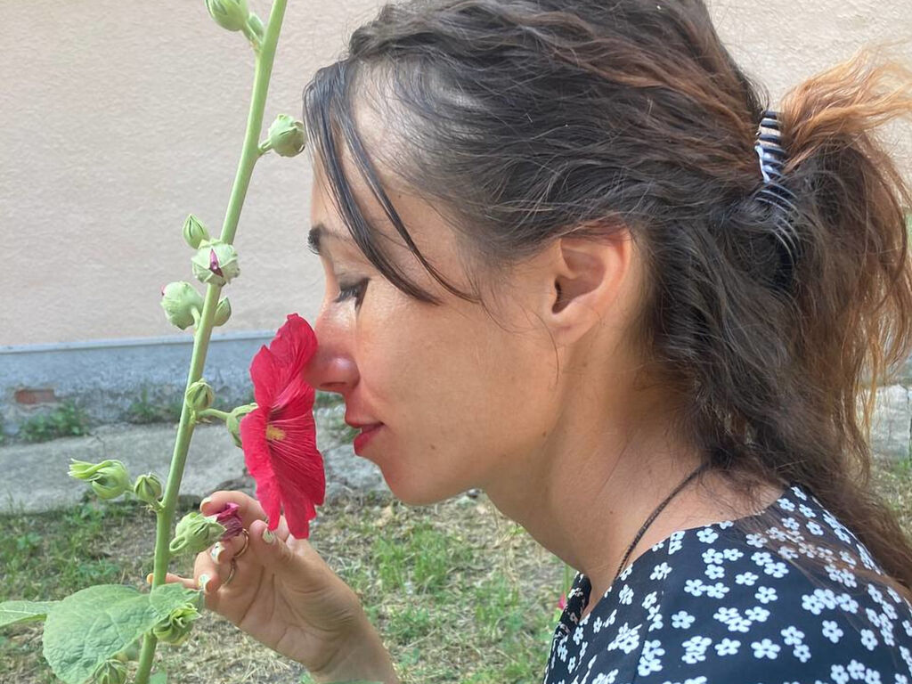 AmyJun's Profil - Bild n°0