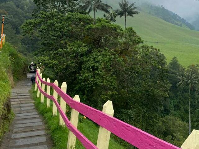 Anatorres's profile - Image n°68