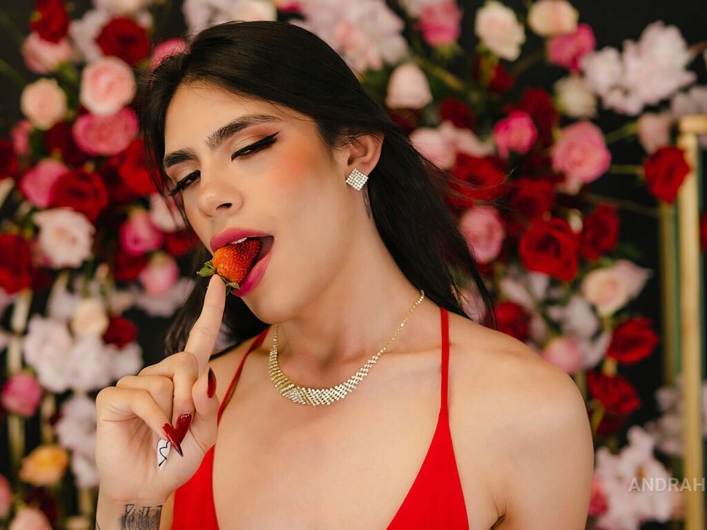 Andraholbrook' profilo - Immagine n°14