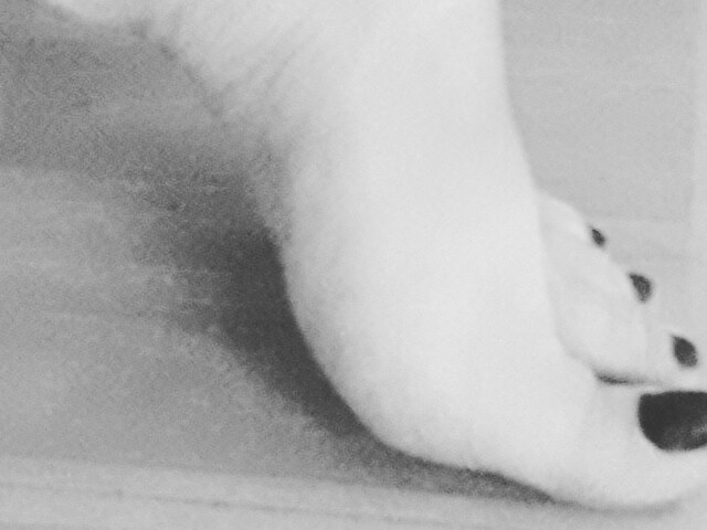 Angelange's Profil - Bild n°4