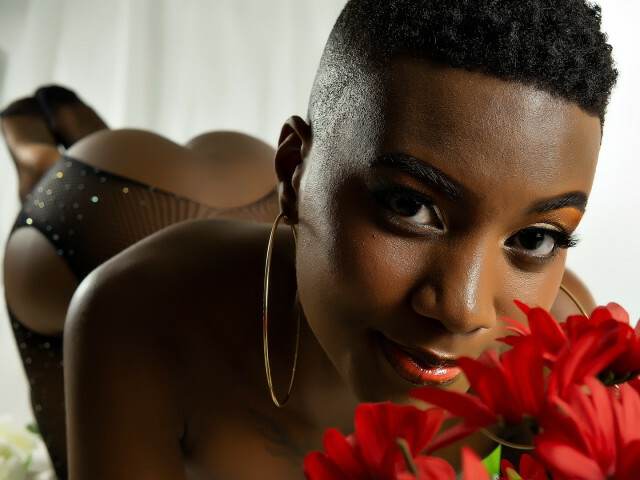 AnnePrice's profiel - Afbeelding n°8