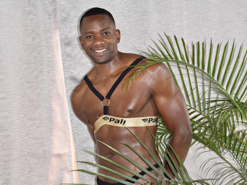 Antuandep's Profil - Bild n°1