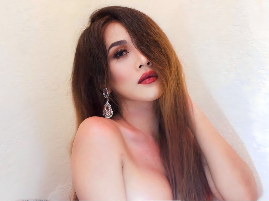 Aravellour's profile - Image n°1