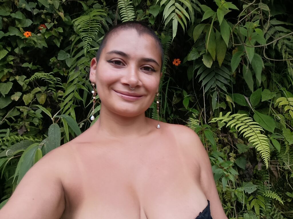 Artemiznayak's profile - Image n°0