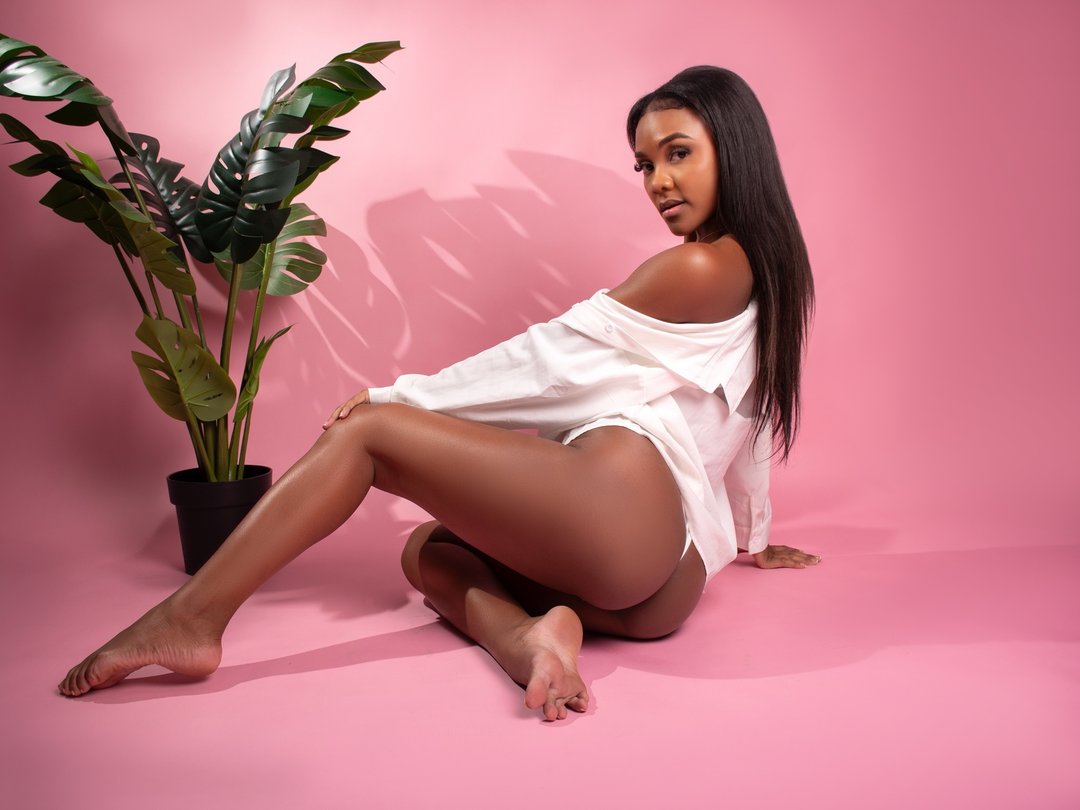 Perfil con Aryjonnes - Imagen  n°0