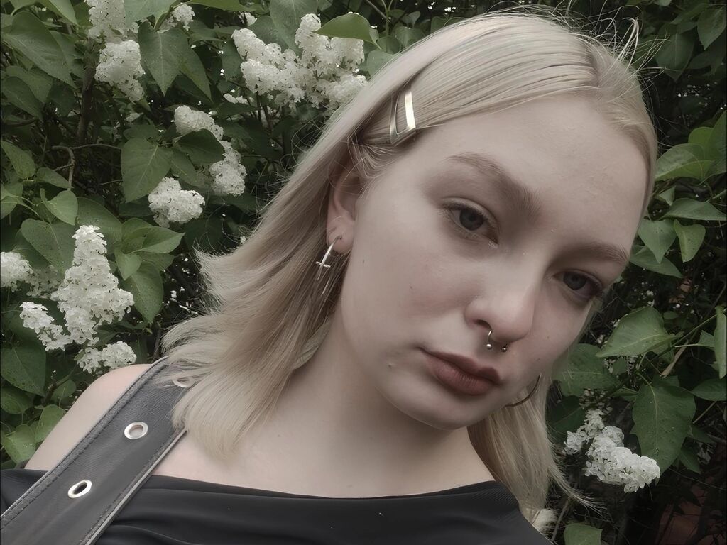 Avagill's Profil - Bild n°0