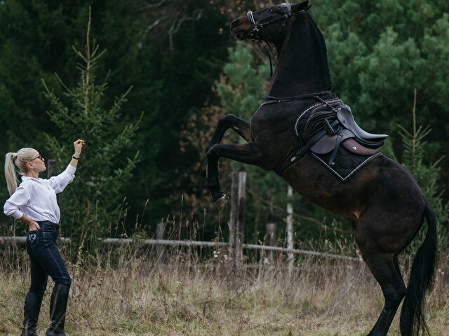 Perfil con Avagreen - Imagen  n°37